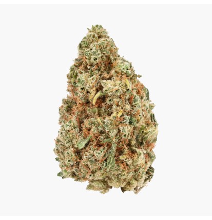 FLEURS MOLECULES CBC+ NORTHERN LIGHT