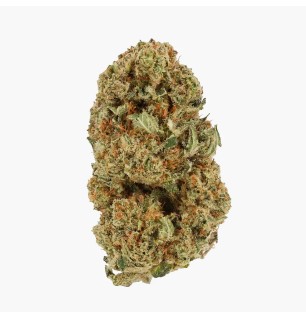 FLEURS MOLECULES CBC+ AMNESIA 3.0