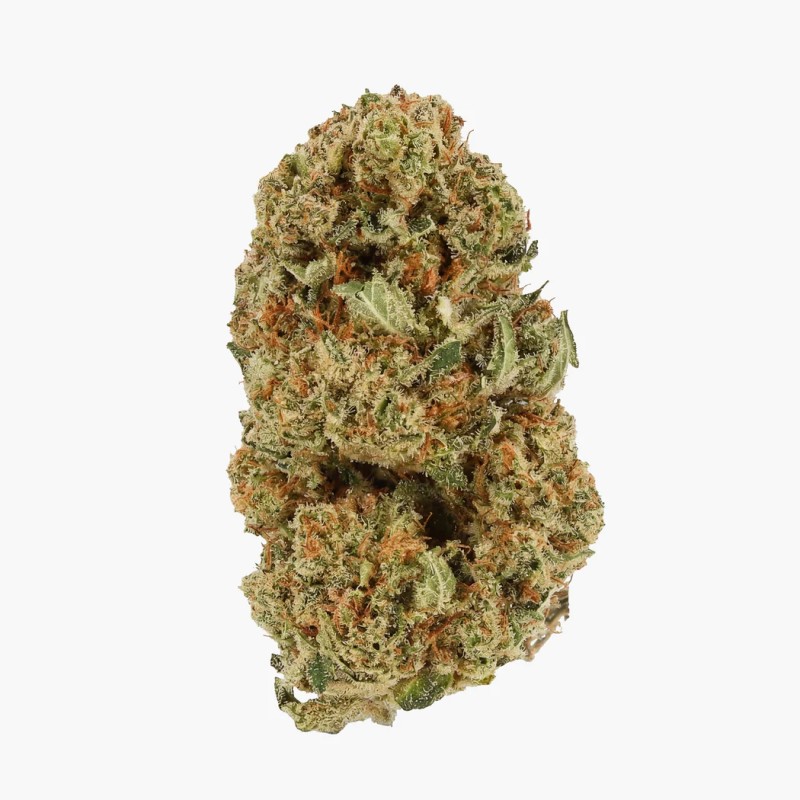 FLEURS MOLECULES CBC+ AMNESIA 3.0