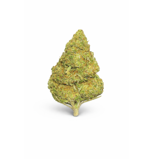 FLEURS MOLECULES BZ GREENHOUSE FRUIT CAKE