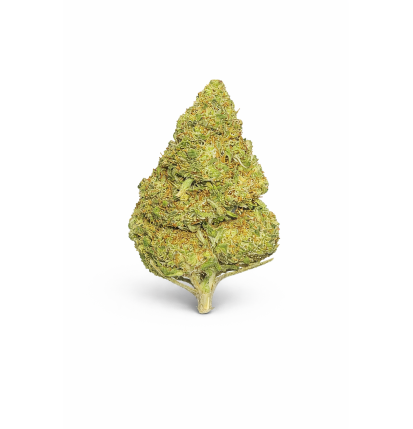 FLEURS MOLECULES BZ GREENHOUSE FRUIT CAKE