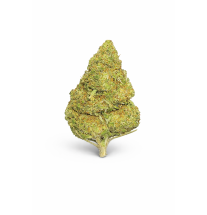 FLEURS MOLECULES BZ GREENHOUSE FRUIT CAKE