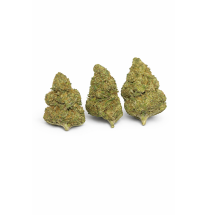 FLEURS MOLECULES BZ GREENHOUSE FRUIT CAKE