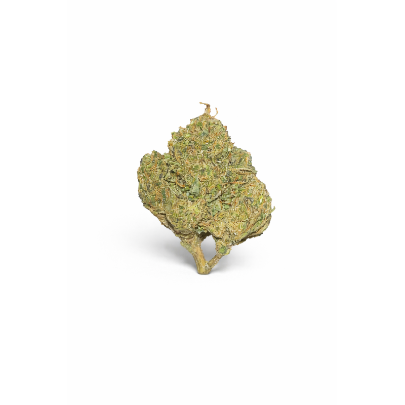 FLEURS MOLECULES BZ GREENHOUSE GORILLA GLUE