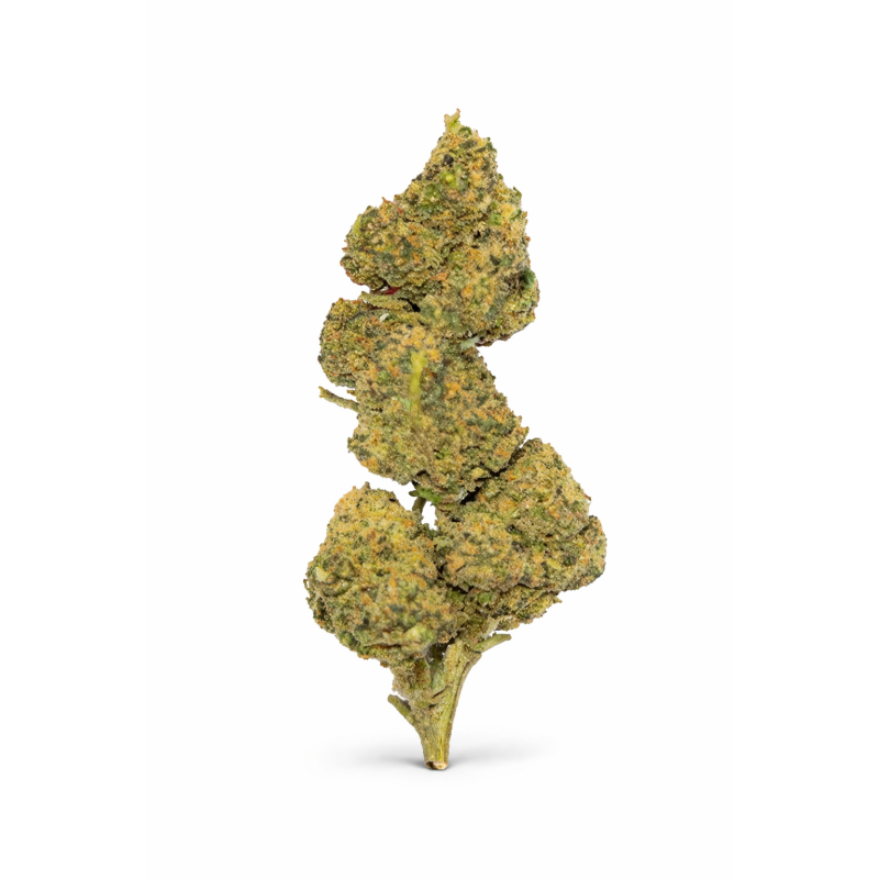 FLEURS MOLECULES BZ GREENHOUSE MANGO HAZE