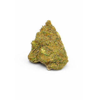 FLEURS MOLECULES BZ GREENHOUSE ORANGE BUD