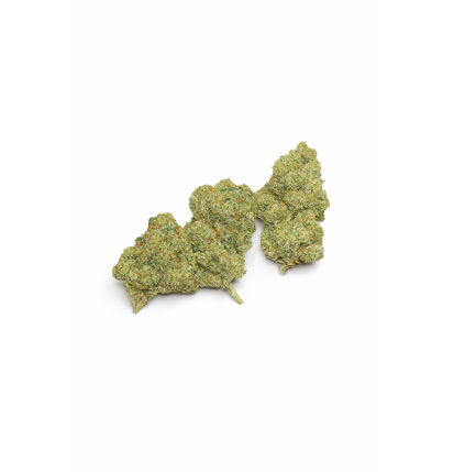 FLEURS MOLECULES BZ HYDROPONIE AMNESIA HAZE