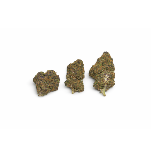 FLEURS MOLECULES BZ HYDROPONIE GRAPPE MADNESS