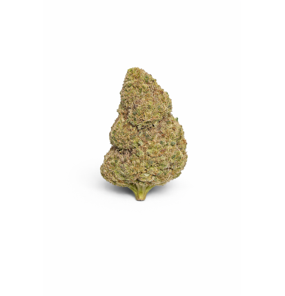 FLEURS MOLECULES BZ HYDROPONIE SHERBLATO