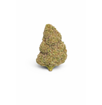 FLEURS MOLECULES BZ HYDROPONIE SHERBLATO