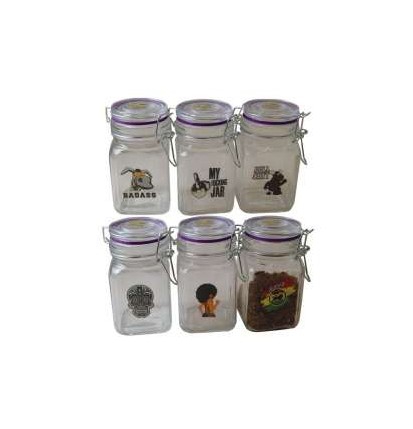 6 POTS DE CONSERVATION "JUICY JAR" DE 280ML