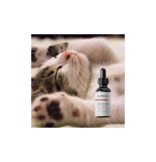 Huile 3% de CBD pour Chat