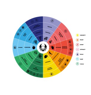 Perles de CBD RELAX Evielab