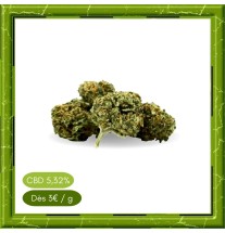 SMALL BUD HAZELNUT -