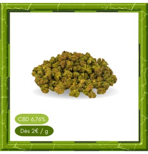 SMALL BUD STRAWBERRY-