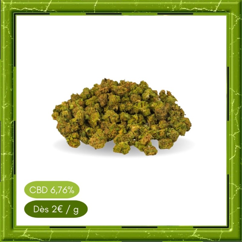 SMALL BUD STRAWBERRY- SMALL BUD STRAWBERRY-