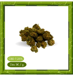 SMALL BUD WHITE WIDOW -