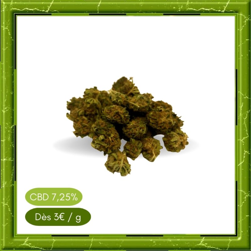 SMALL BUD WHITE WIDOW -