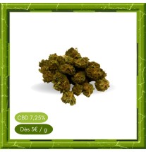 SMALL BUD WHITE WIDOW -