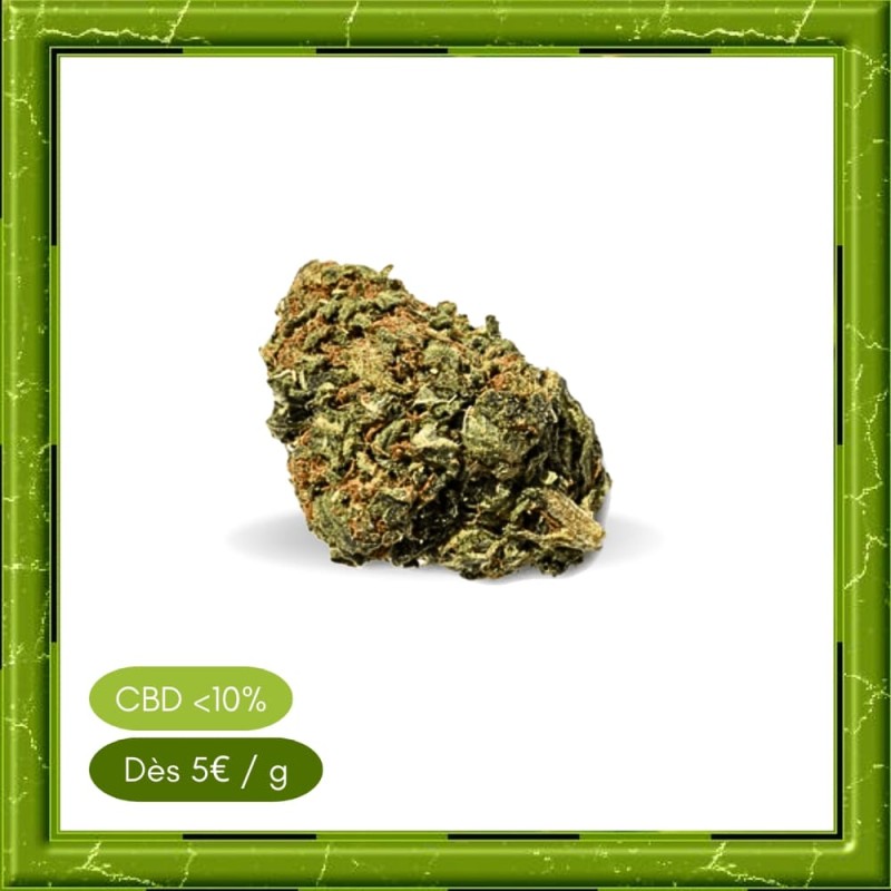 ORANGE BUD GLASSHOUSE - ORANGE BUD GLASSHOUSE -