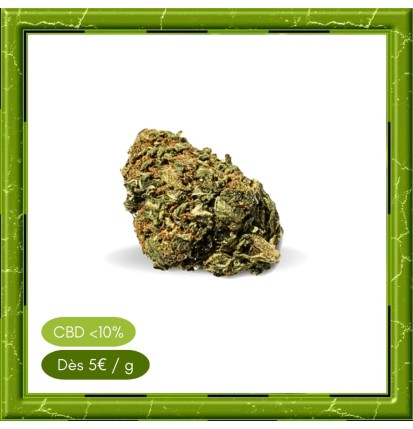 ORANGE BUD GLASSHOUSE -