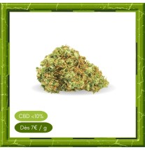 LEMON HAZE GLASSHOUSE -