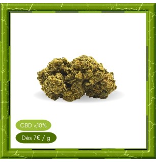 PINEAPPLE GLASSHOUSE -