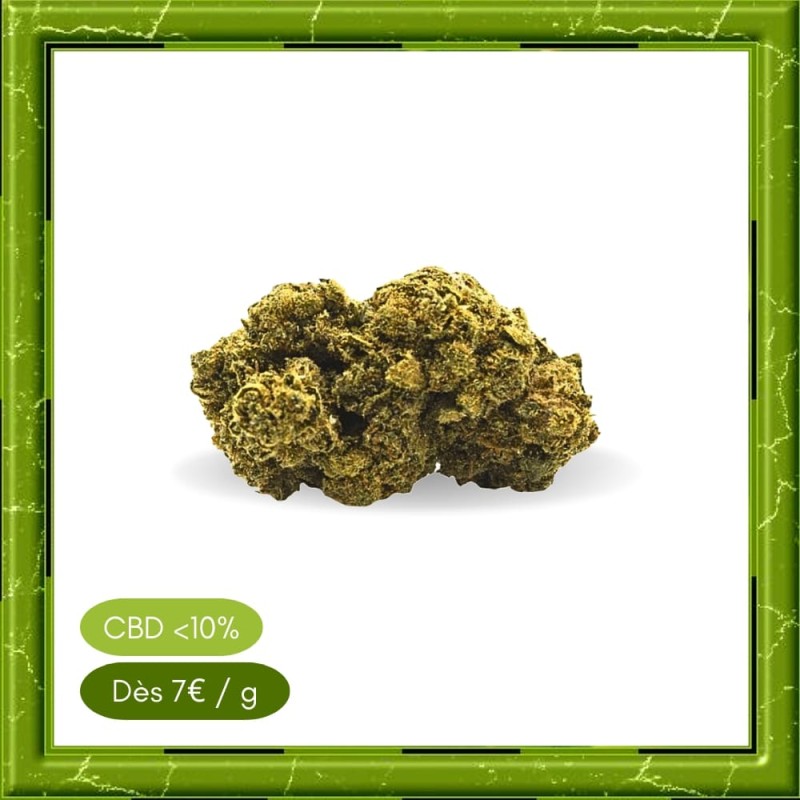 PINEAPPLE GLASSHOUSE - PINEAPPLE GLASSHOUSE -