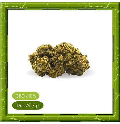 PINEAPPLE GLASSHOUSE -