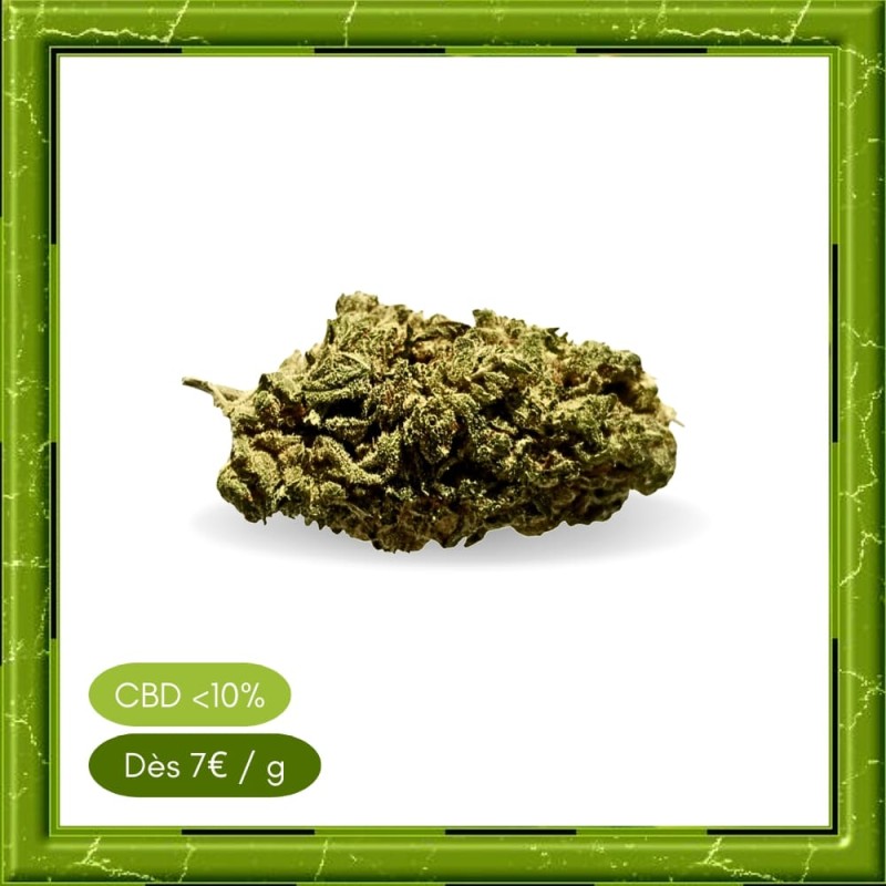 HAZELNUT GLASSHOUSE - HAZELNUT GLASSHOUSE -