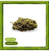 HAZELNUT GLASSHOUSE -