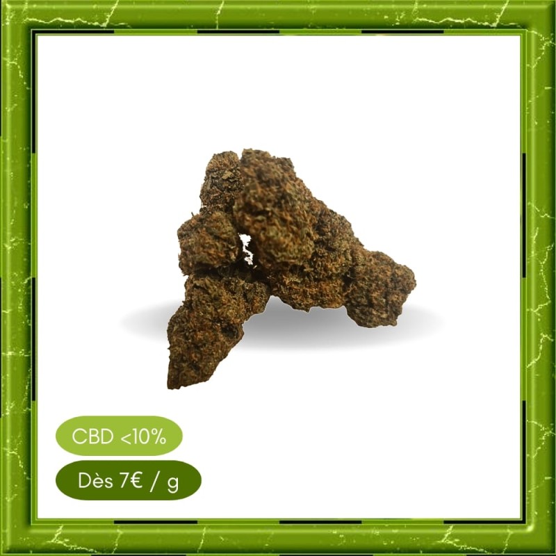 WHITE WIDOW GLASSHOUSE - WHITE WIDOW GLASSHOUSE -