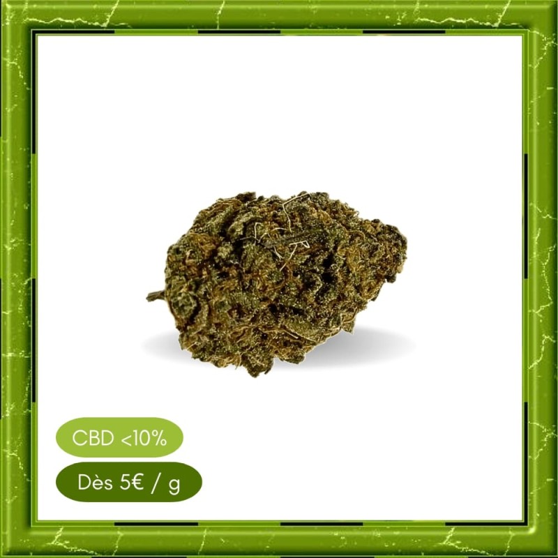 STRAWBERRY GREENHOUSE - STRAWBERRY GREENHOUSE -