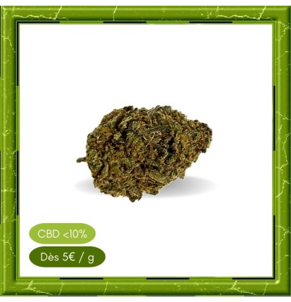 STRAWBERRY GREENHOUSE -