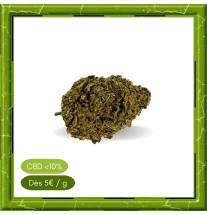 STRAWBERRY GREENHOUSE -