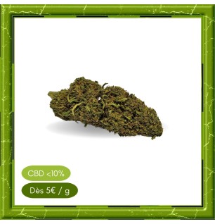 TANGERINE GREENHOUSE -