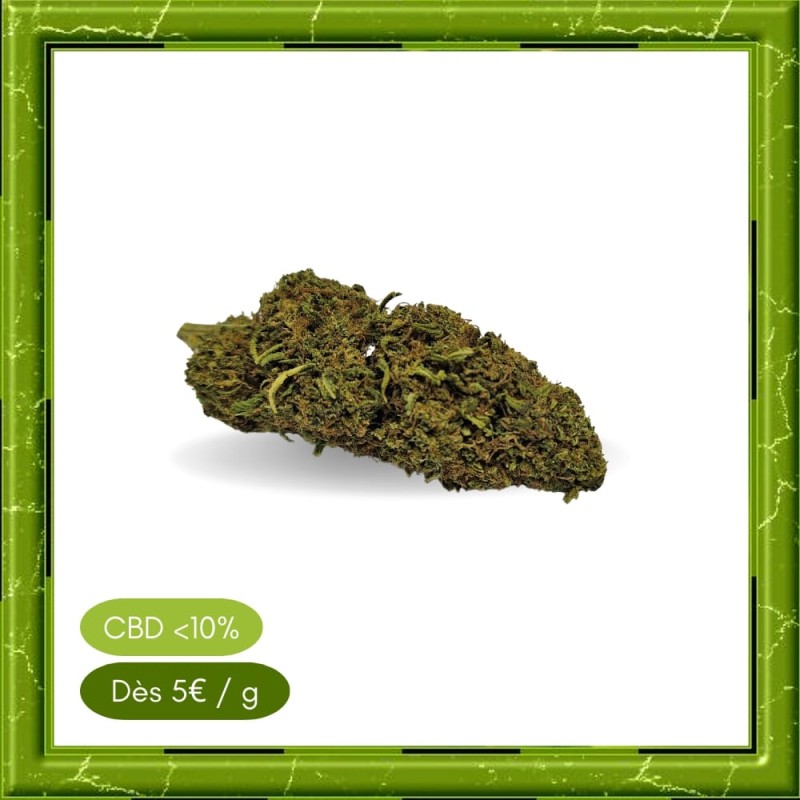 TANGERINE GREENHOUSE - TANGERINE GREENHOUSE -