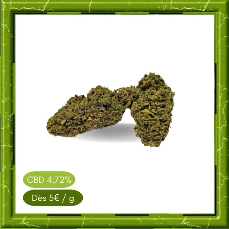 BUBBLE GUM GREENHOUSE - BUBBLE GUM GREENHOUSE -