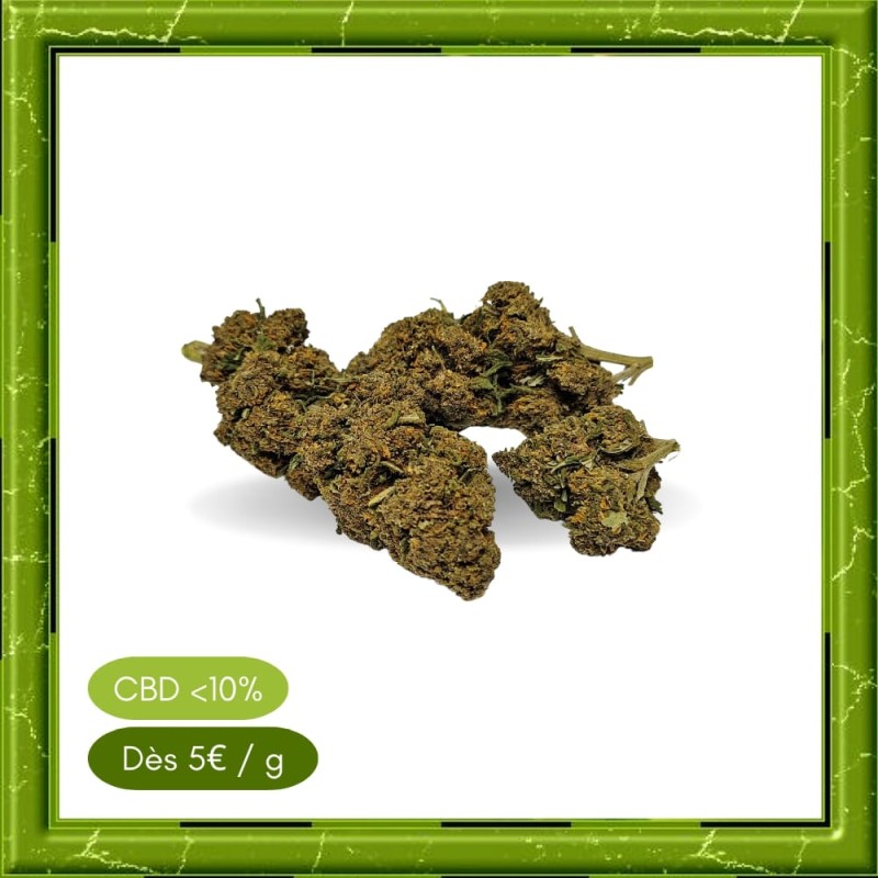 ORANGE BUD GREENHOUSE -