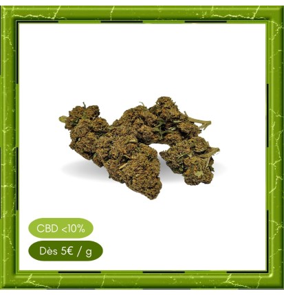 ORANGE BUD GREENHOUSE -