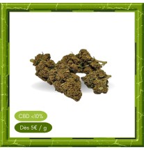 ORANGE BUD GREENHOUSE -