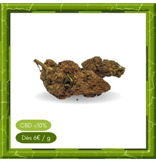 CARAMEL CANDY GREENHOUSE -