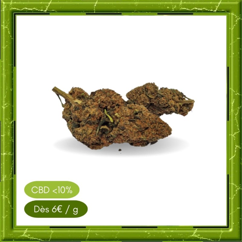 CARAMEL CANDY GREENHOUSE - CARAMEL CANDY GREENHOUSE -