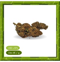 CARAMEL CANDY GREENHOUSE -