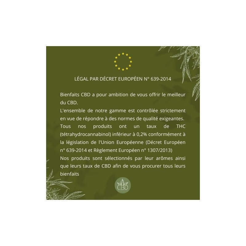 MANGO GREENHOUSE - MANGO GREENHOUSE -