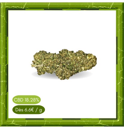 MANGO KUSH INDOOR -