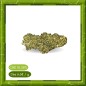 MANGO KUSH INDOOR - MANGO KUSH INDOOR -