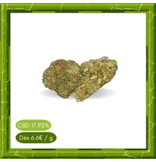 CARAMEL CANDY INDOOR -