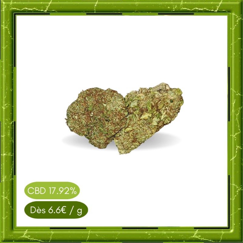 CARAMEL CANDY INDOOR - CARAMEL CANDY INDOOR -