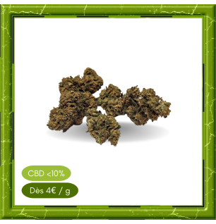 STRAWBERRY OUTDOOR -